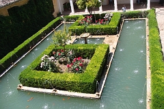Granada1 (37)